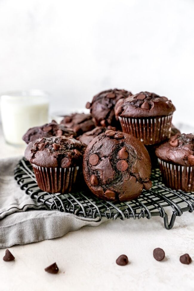 chocolate muffins