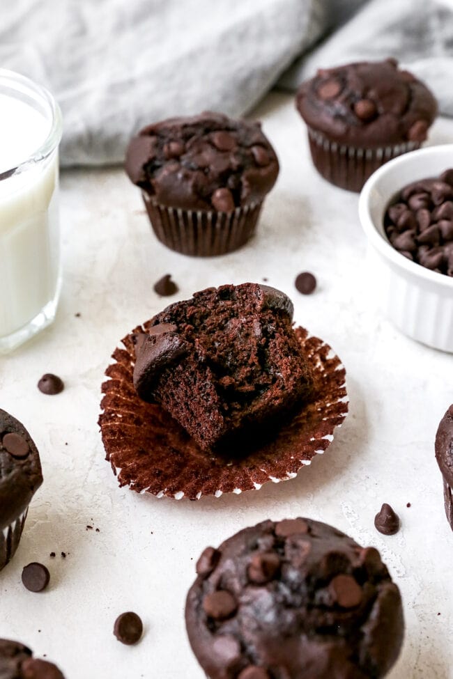 Chocolate Chocolate Chip Muffins