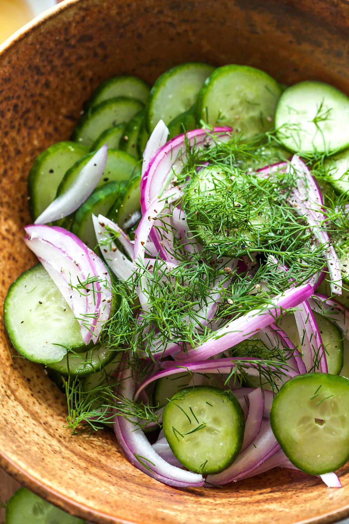 Cucumber salad in bowl with fresh dill and red onion. 