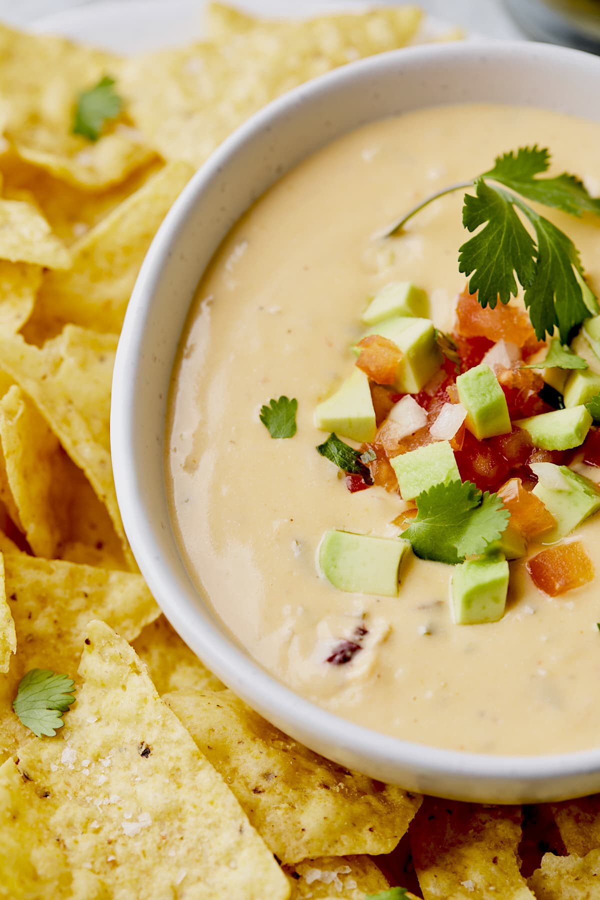 Close up of queso in bowl with diced tomatoes, avocado, and cilantro. 