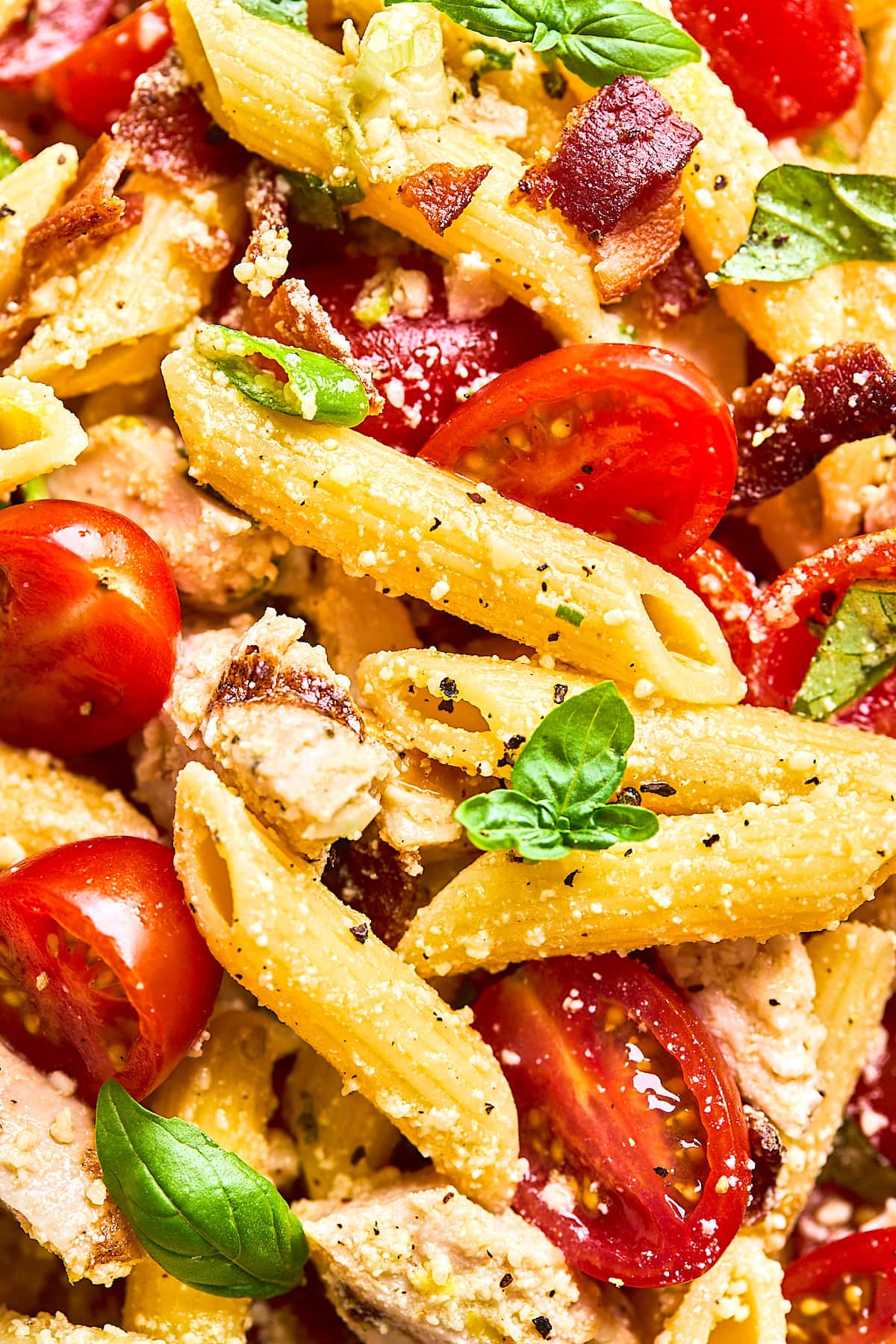 close up of chicken pasta salad with Parmesan cheese. 