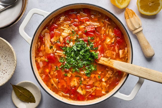 easy cabbage soup