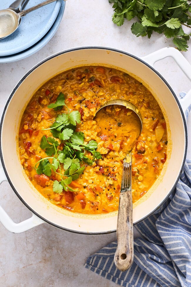 curry lentil soup in pot with a ladle and cilantro