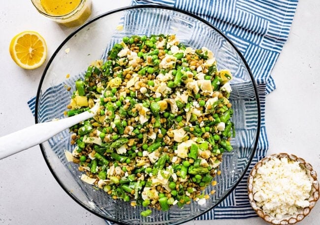 spring lentil salad in bowl with spoon.