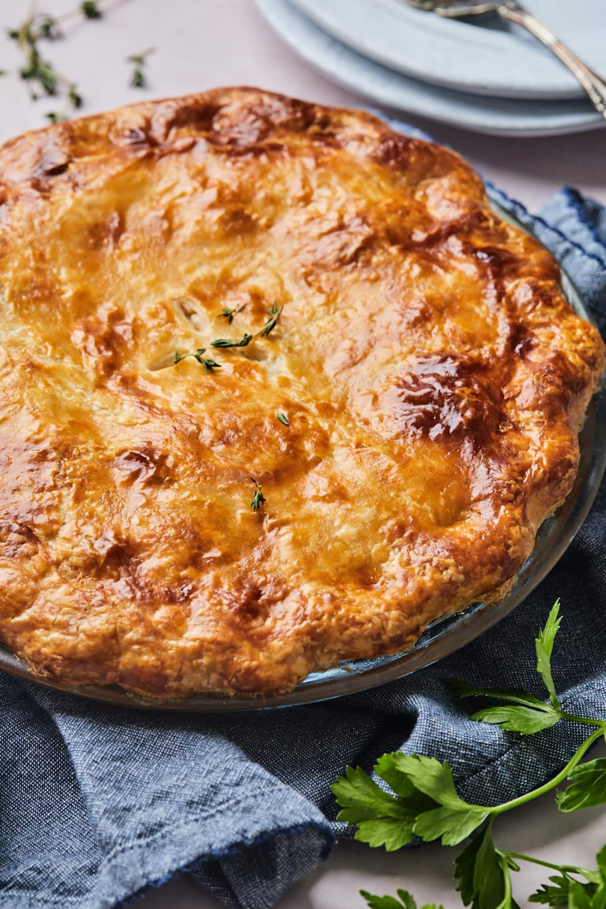 homemade chicken pot pie in pie pan. 