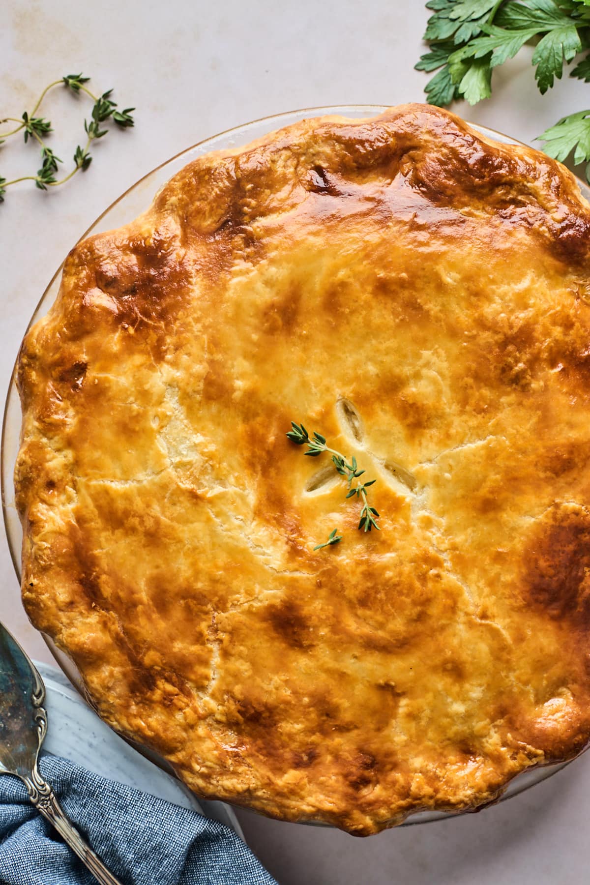 golden brown chicken pot pie in pie pan with sprig of thyme.