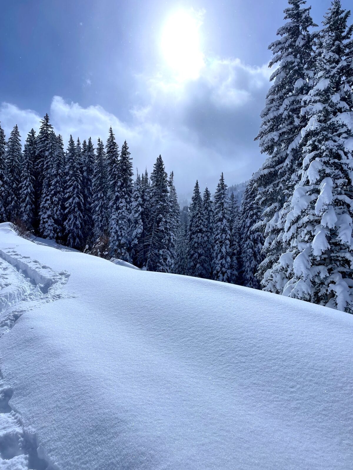 grizzly gulch snow scene. 