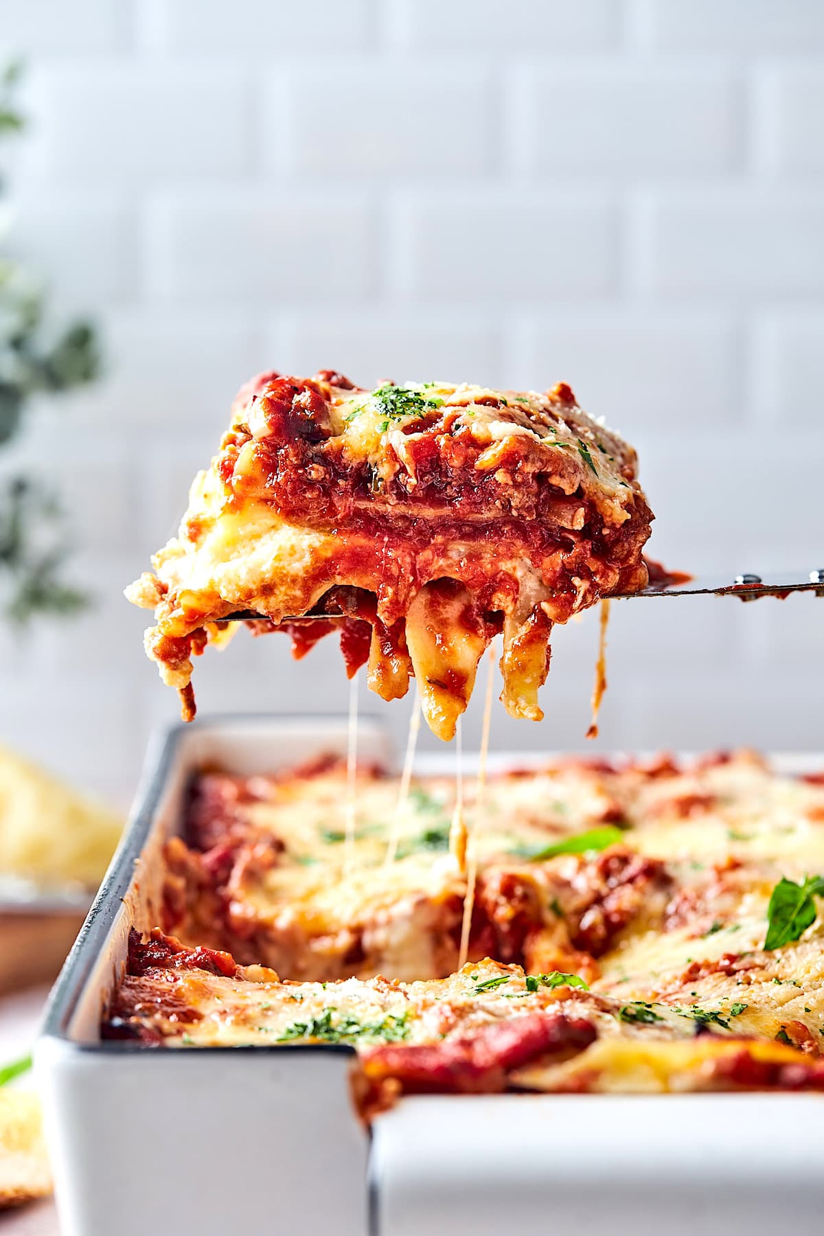 The 7 Best Lasagna Bakeware Pans in 2023