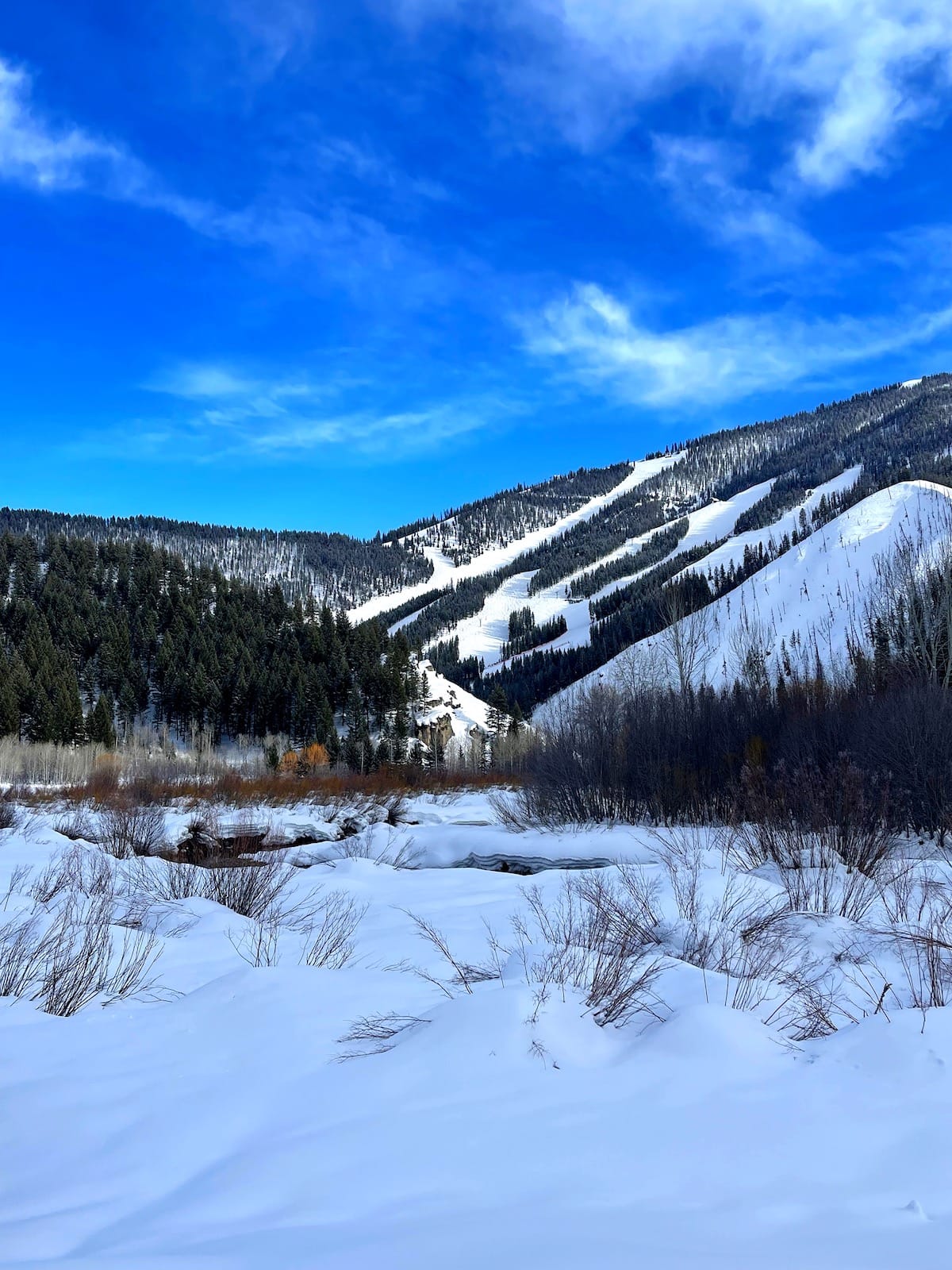 Sun Valley Idaho.