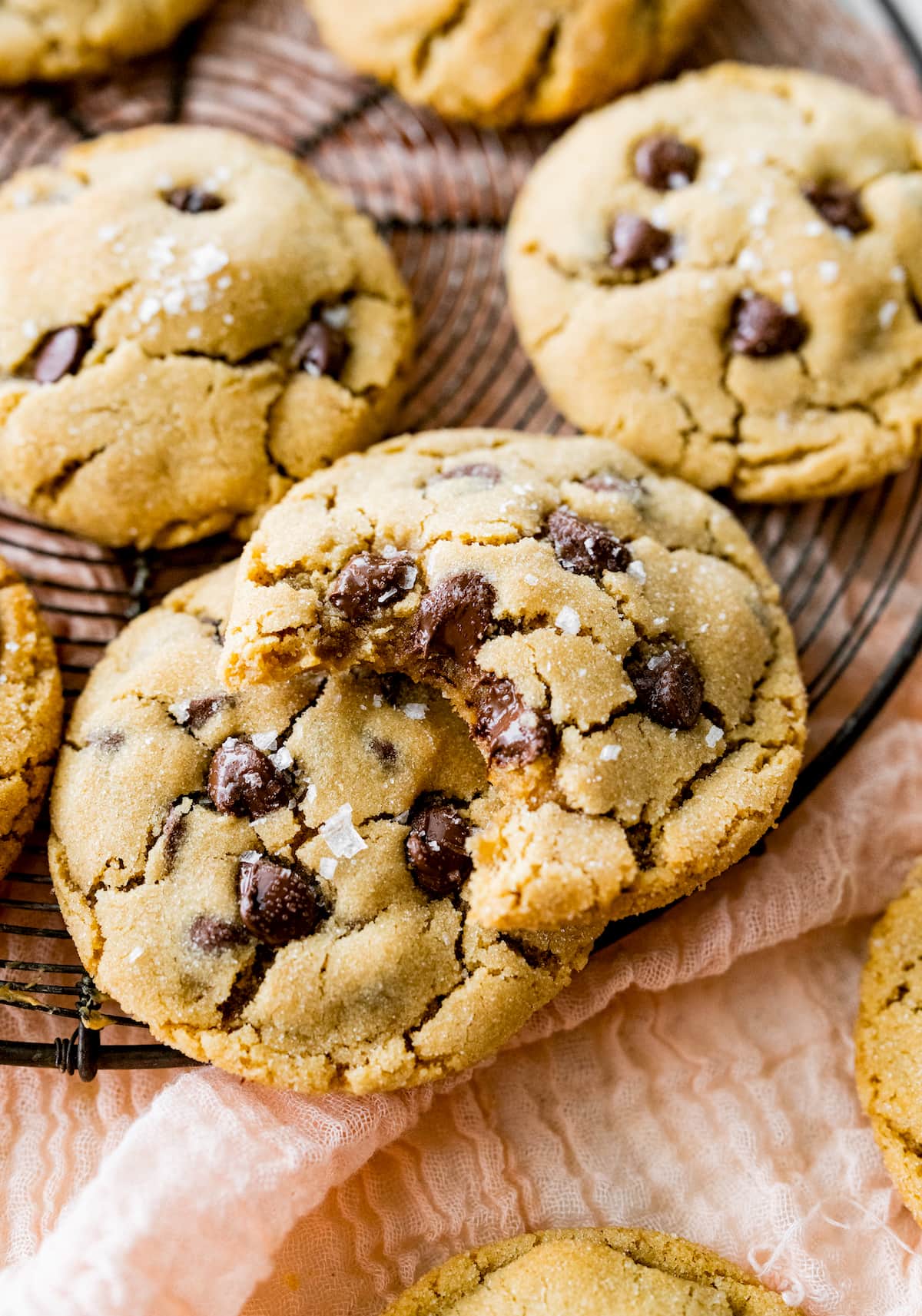 peanut butter chocolate chip cookies on cooling rack with a close up of a cookie with a bite out of it. 