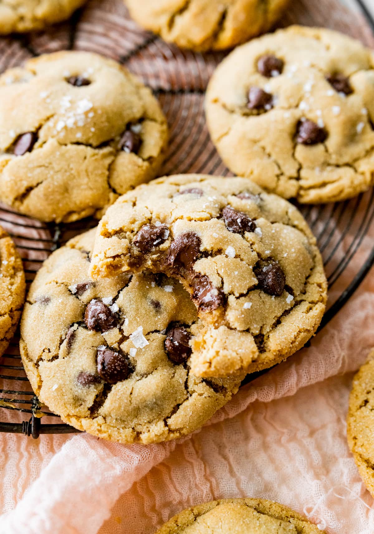 peanut butter chocolate chip cookies on cooling rack. 