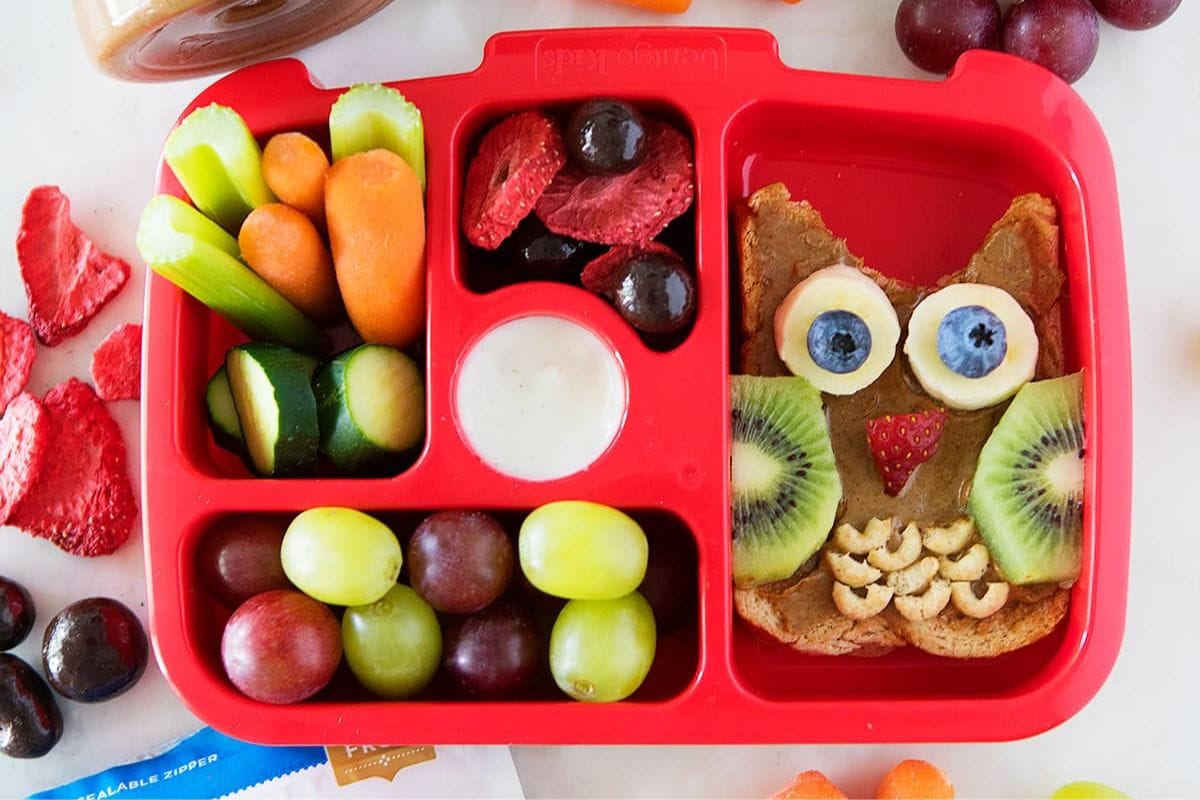 9 Amazing Stanley Lunch Box for 2023