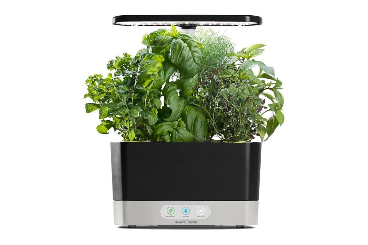 AeroGarden Harvest 