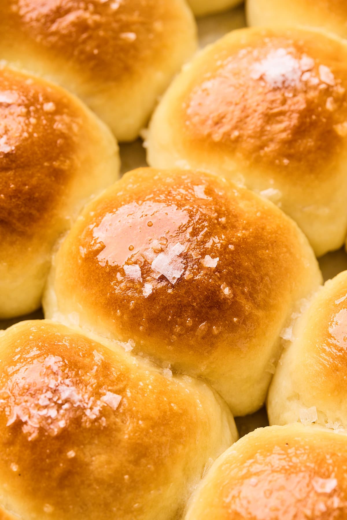 close up of dinner rolls brushed with melted butter and sprinkled with flaky sea salt. 