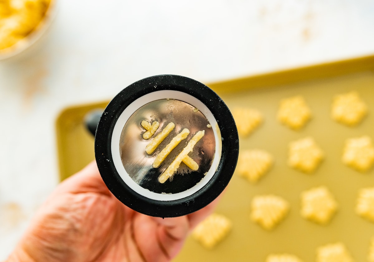 spritz cookie dough in cookie press. 