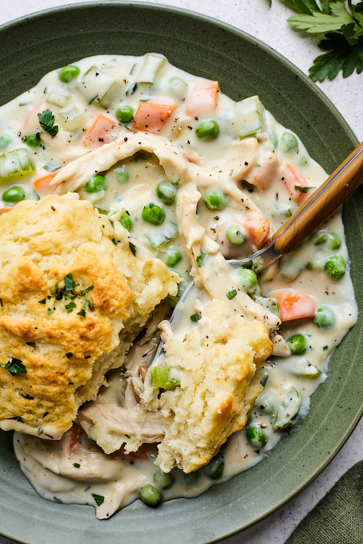 chicken pot pie with biscuit on plate with fork. 