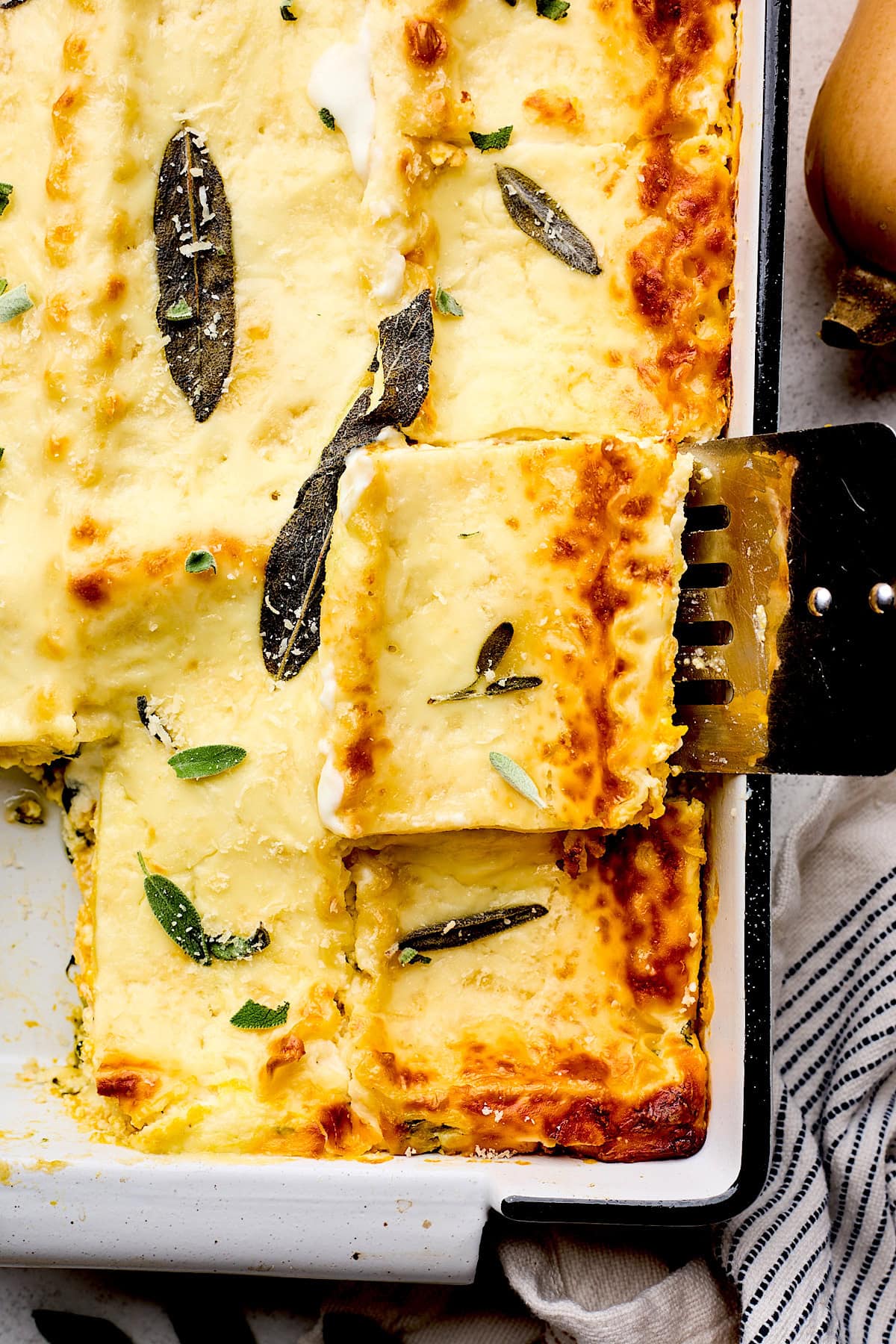 butternut squash lasagna with sage on top.