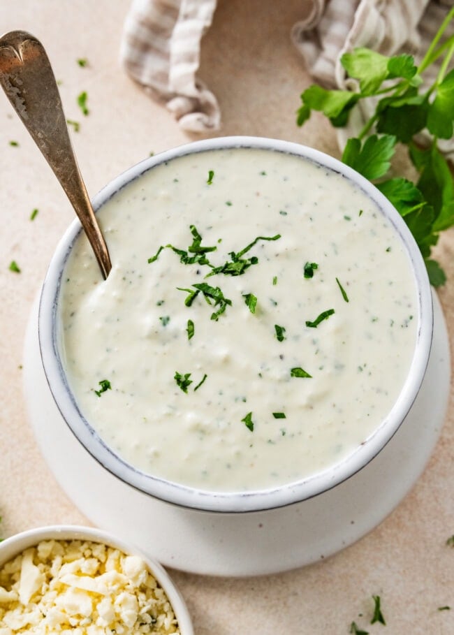 Creamy Blue Cheese Dip Recipe