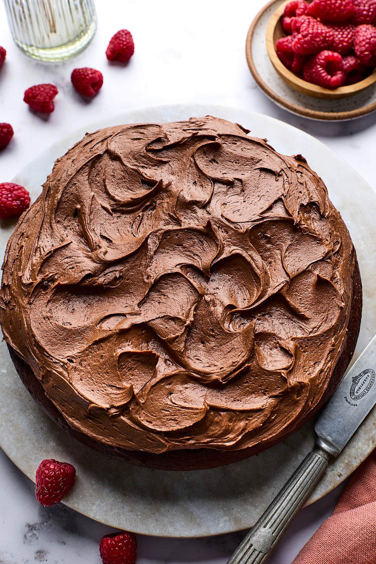 chocolate yogurt cake with chocolate frosting.
